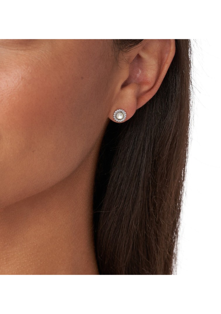 Fossil, JFS00537040 — thumbnail 3